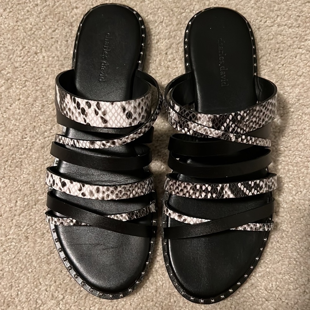 Charles David Source Sandal - Picture 5 of 10
